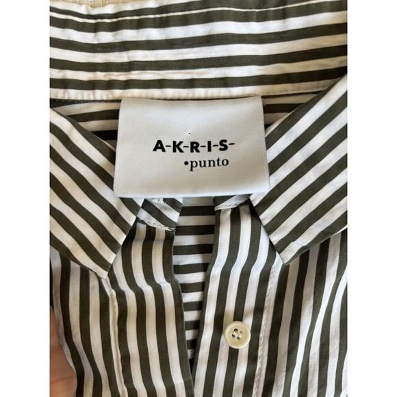Akris Pinto Shirt Dress 14 Vertical Stripe Green White Natural Minimal Quiet Lux - Picture 9 of 11